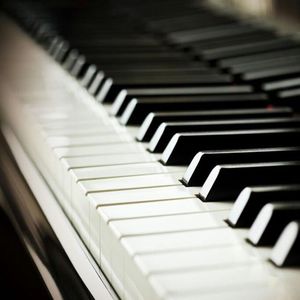 透明内内一级特黄A片
