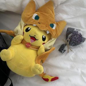 透明内内一级特黄A片
