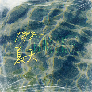 透明内内一级特黄A片
